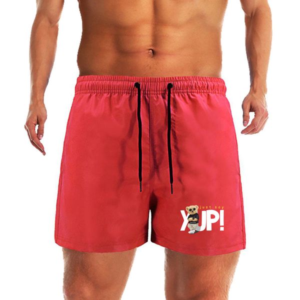 teddy bear beach shorts quick dry mens siwmwear board briefs 2023 new summer swim trunks sport gym running shorts male beach, White;black
teddy bear beach shorts quick dry mens siwmwear board briefs 2023 new summer swim trunks sport gym running shorts male beach, White;black