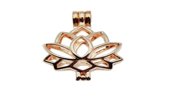 10pcs rose gold lotus charm pearl cage jewelry making bead cage pendant aroma essential oil diffuser locket for oyster pearl5918086, Silver
10pcs rose gold lotus charm pearl cage jewelry making bead cage pendant aroma essential oil diffuser locket for oyster pearl5918086, Silver