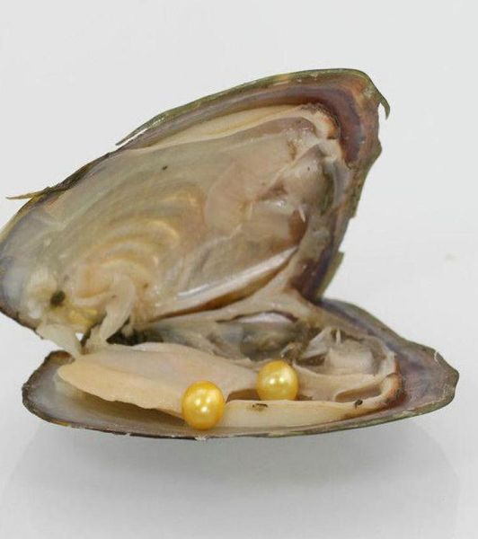 2018 akoya round freshwater twins pearls in oysters 27 colors pearls oyster pearls with vacuumpackingjewelry christmas gift surpr3555773, Black
2018 akoya round freshwater twins pearls in oysters 27 colors pearls oyster pearls with vacuumpackingjewelry christmas gift surpr3555773, Black