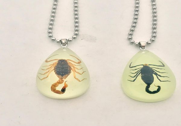 fashion black brown imitation amber real scorpion jewelry pendant necklaces for men women love gifts glows in the dark4866612, Silver
fashion black brown imitation amber real scorpion jewelry pendant necklaces for men women love gifts glows in the dark4866612, Silver