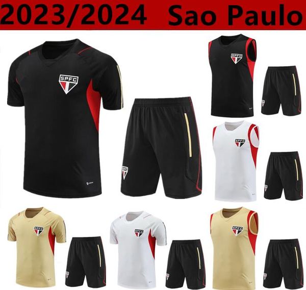 23/24 sao paulo arboleda calleri training kit football club gabriel nestor couto toro men short sleeve set666, Black
23/24 sao paulo arboleda calleri training kit football club gabriel nestor couto toro men short sleeve set666, Black