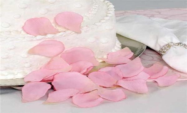 pink silk rose petals wedding favour party decoration flower decor 10 bags 100 pcs per bag2943146
pink silk rose petals wedding favour party decoration flower decor 10 bags 100 pcs per bag2943146