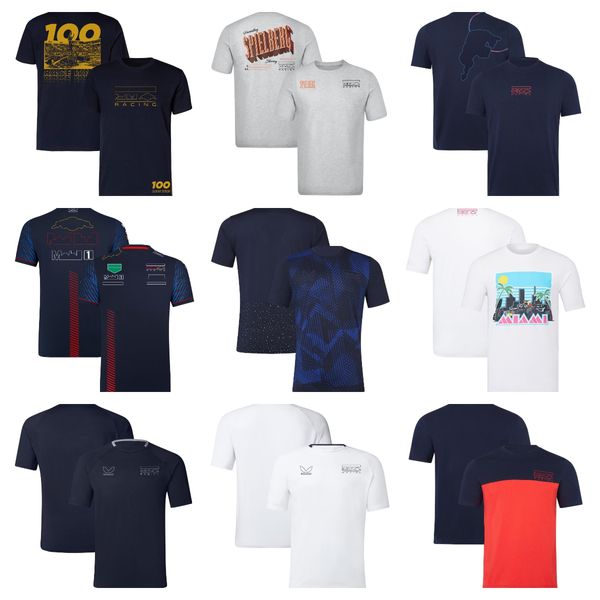 f1 team driver's clothing 2023 short sleeve round neck racing clothing fashion plus size quick-drying t-shirt men's customization
f1 team driver's clothing 2023 short sleeve round neck racing clothing fashion plus size quick-drying t-shirt men's customization