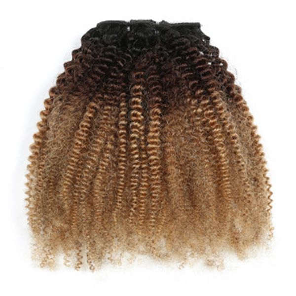 lace s 1020 inches ombre afro kinky curly hair bundles black brown gold color human for women 230629
lace s 1020 inches ombre afro kinky curly hair bundles black brown gold color human for women 230629