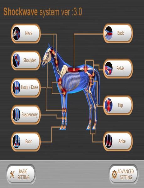 portable eswt shock wave machine shockwave use in equine practice animal therapy for horses suspensory4106054
portable eswt shock wave machine shockwave use in equine practice animal therapy for horses suspensory4106054