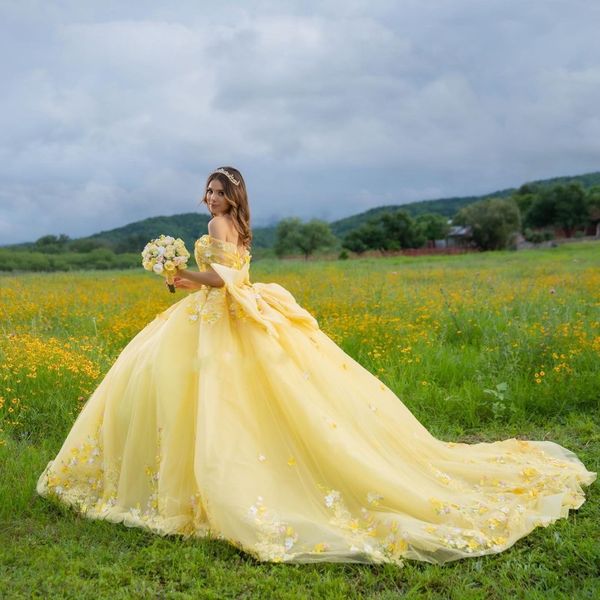 yellow tull ball gown quinceanera dresses beads sweetheart applique 3dfloral with big bow dance party vestidos de quinceanera, Blue;red
yellow tull ball gown quinceanera dresses beads sweetheart applique 3dfloral with big bow dance party vestidos de quinceanera, Blue;red