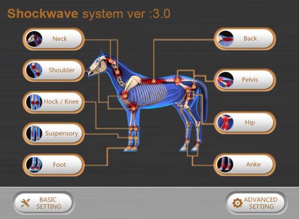 portable eswt shock wave machine shockwave use in equine practice animal therapy for horses suspensory9092916
portable eswt shock wave machine shockwave use in equine practice animal therapy for horses suspensory9092916
