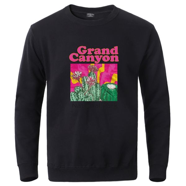 men s polos grand canyon national park cactus man pullovers trend simple outerwears fashion loose tracksuit street quality male sweatwears 2, White;black
men s polos grand canyon national park cactus man pullovers trend simple outerwears fashion loose tracksuit street quality male sweatwears 2, White;black