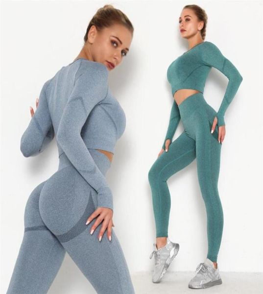 yoga outfits seamless women yoga set high waist leggings gym clothing woman sportswear sport shorts sports bra tshirt workout gym3283906, White;red
yoga outfits seamless women yoga set high waist leggings gym clothing woman sportswear sport shorts sports bra tshirt workout gym3283906, White;red