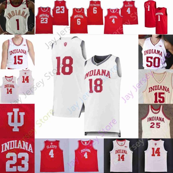 new hoosiers ncaa indiana jersey basketball wears college rob phinisee xavier johnson michael durr parker stewart thompso, Black;red
new hoosiers ncaa indiana jersey basketball wears college rob phinisee xavier johnson michael durr parker stewart thompso, Black;red