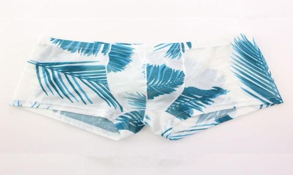 onepiece suits mesh transparent sheer underwear gay mens swimwear super swimming trunks pouch bikini swimsuit bathing shorts2516003
onepiece suits mesh transparent sheer underwear gay mens swimwear super swimming trunks pouch bikini swimsuit bathing shorts2516003