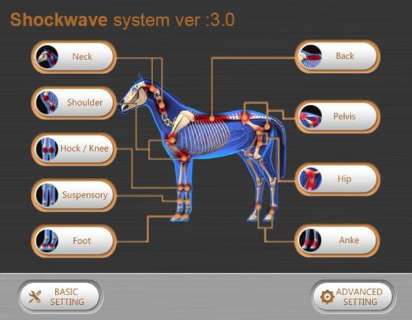 portable eswt shock wave machine shockwave use in equine practice animal therapy for horses suspensory6855202
portable eswt shock wave machine shockwave use in equine practice animal therapy for horses suspensory6855202