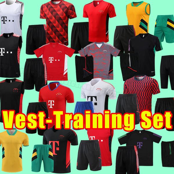 22 24 bayern soccer tracksuits de ligt sane 2023 2024 football shirt hernandez goretzka gnabry camisa de futebol kimmich vest polo training, Black
22 24 bayern soccer tracksuits de ligt sane 2023 2024 football shirt hernandez goretzka gnabry camisa de futebol kimmich vest polo training, Black