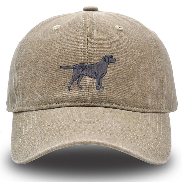 visors embroidered labrador retriever dog dad hat black baseball cap summer cozy trucker adjustable woman hats 230628, Blue;gray
visors embroidered labrador retriever dog dad hat black baseball cap summer cozy trucker adjustable woman hats 230628, Blue;gray