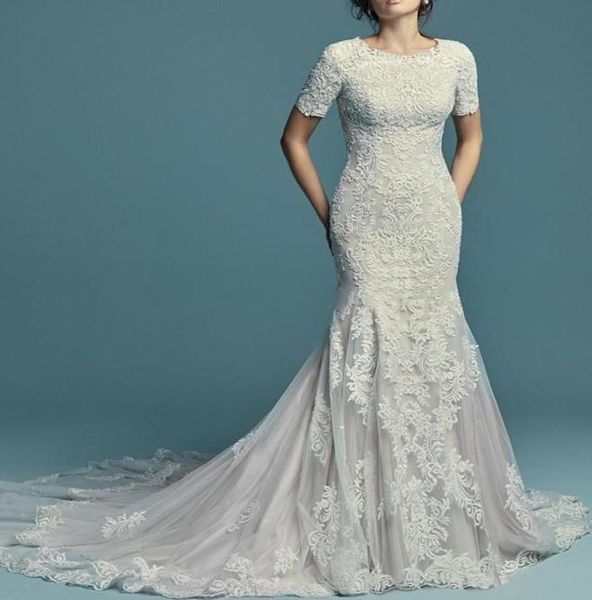short sleeves mermaid wedding dresses bridal gowns buttons back lace applique tulle long sweep vestidos de fiesta6625975, White
short sleeves mermaid wedding dresses bridal gowns buttons back lace applique tulle long sweep vestidos de fiesta6625975, White