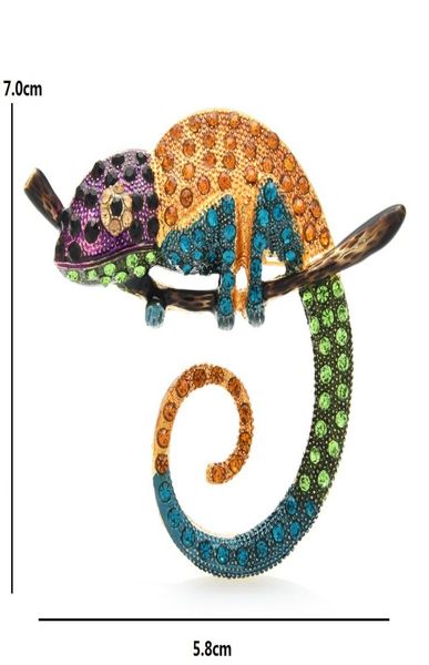jewelry accessories fashion jewelrybrooches wuli baby big multicolor lizard brooch pins fashion animal brooch jewelry gift 4 color2274557, Gray
jewelry accessories fashion jewelrybrooches wuli baby big multicolor lizard brooch pins fashion animal brooch jewelry gift 4 color2274557, Gray