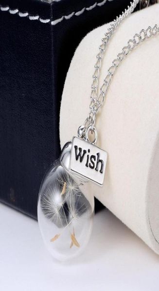 wish necklaces dandelion seed in glass ball necklace pendants with 18 inches chain women fashion jewelry gift9600900, Silver
wish necklaces dandelion seed in glass ball necklace pendants with 18 inches chain women fashion jewelry gift9600900, Silver