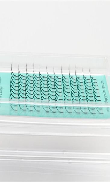 quantity 5d 007 thickness d curl 12mm short stem pre made fans volume eyelash extensions4458961
quantity 5d 007 thickness d curl 12mm short stem pre made fans volume eyelash extensions4458961