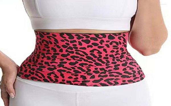 waist support leopard print maternity belly wrap style elastic abdominal binder wrapping abdomen belt binders for women7609202, Black;gray
waist support leopard print maternity belly wrap style elastic abdominal binder wrapping abdomen belt binders for women7609202, Black;gray
