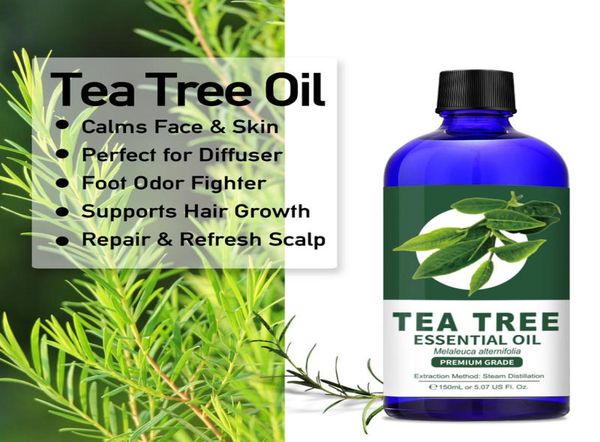 lagunamoon 150ml 100 antiwrinkle essential oil pure natural tea tree with therapeutic grade moisturizing aromatherapy9380486
lagunamoon 150ml 100 antiwrinkle essential oil pure natural tea tree with therapeutic grade moisturizing aromatherapy9380486