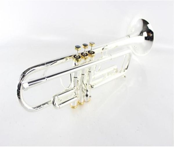 new arrival margewate lr197gs brass body silver plated and gold color bb trumpet instruments carved trumpet with mouthpiece4159027
new arrival margewate lr197gs brass body silver plated and gold color bb trumpet instruments carved trumpet with mouthpiece4159027