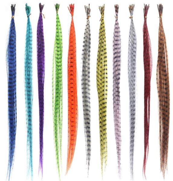55pcs synthetic straight multicolor feathers hairpiece wig hair extension beauty tool 2206068718208
55pcs synthetic straight multicolor feathers hairpiece wig hair extension beauty tool 2206068718208
