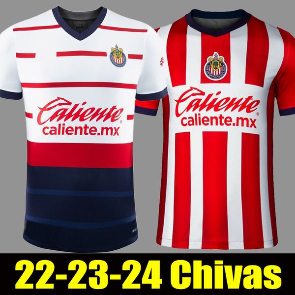 23 24 chivas home away soccer jerseys liga mx 2023 2024 football shirts, Black;yellow
23 24 chivas home away soccer jerseys liga mx 2023 2024 football shirts, Black;yellow