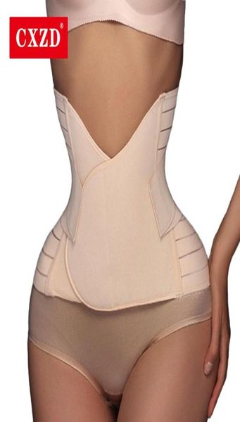 waist support cxzd trainer body shaper belt for women workout fitness belly sports girdle adjustable breathable trimmer slimming c3337517, Black;gray
waist support cxzd trainer body shaper belt for women workout fitness belly sports girdle adjustable breathable trimmer slimming c3337517, Black;gray