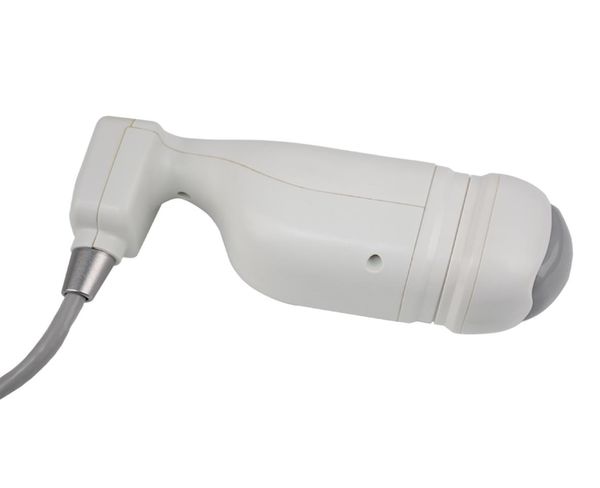 hifu liposonix handle for portable hifu focused ultrasound liposonix cellulite reduction slimming machine5372949
hifu liposonix handle for portable hifu focused ultrasound liposonix cellulite reduction slimming machine5372949