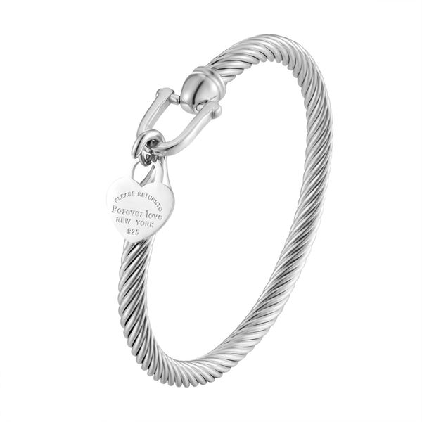 Gold Tone Titanium Steel Bangle Cable Wire Love Heart Charm Bracelet With Hook Closure for Unisex Jewelry Gifts
Gold Tone Titanium Steel Bangle Cable Wire Love Heart Charm Bracelet With Hook Closure for Unisex Jewelry Gifts