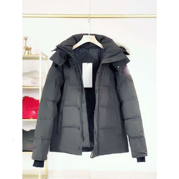 Canada Puffer Jacket Men Designer Real Coyote Goose Outdoor Wyndham Windbreaker Jassen Outerwear Hooded Down Jacket Coat Size Xs-3xlxu2a
Canada Puffer Jacket Men Designer Real Coyote Goose Outdoor Wyndham Windbreaker Jassen Outerwear Hooded Down Jacket Coat Size Xs-3xlxu2a