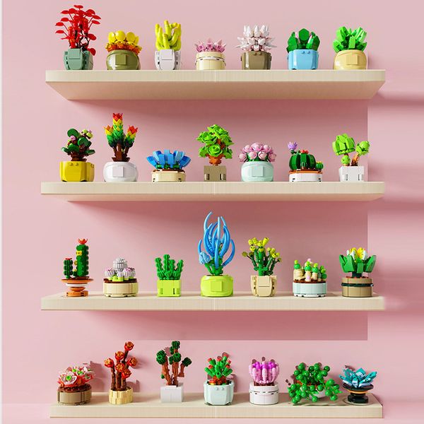 blocks diy potted plants succulents cactus gypsophila bonsai tree gardens romantic building model bricks kids sets kits toys 220902
blocks diy potted plants succulents cactus gypsophila bonsai tree gardens romantic building model bricks kids sets kits toys 220902