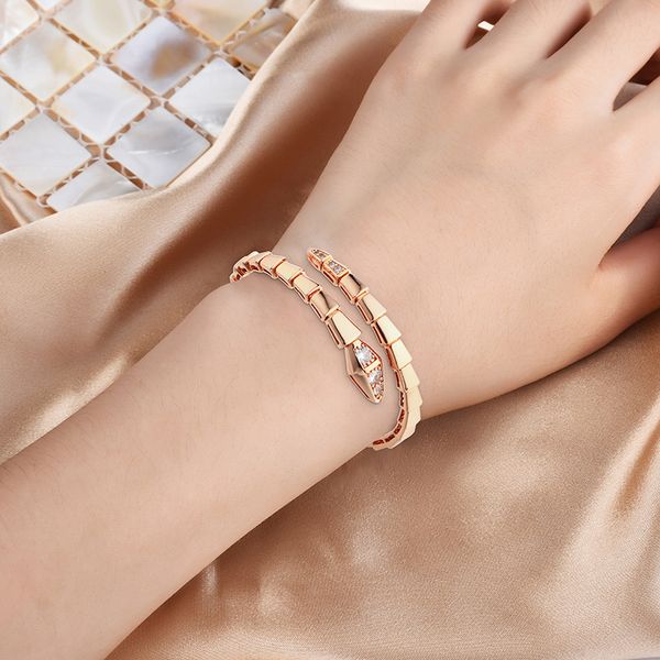 designer bracelet strands snake bone chain jewelry bracelet bronze micro set zircon fashion 18k gold silver bracelets, Black
designer bracelet strands snake bone chain jewelry bracelet bronze micro set zircon fashion 18k gold silver bracelets, Black
