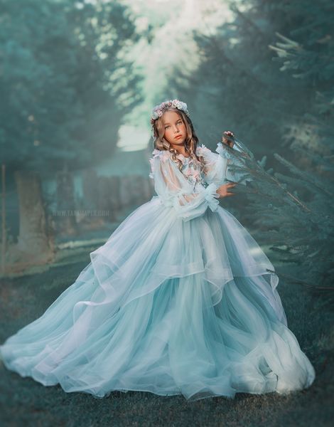 light sky blue flower girl dresses floral beaded long sleeve pageant ball gown for pshoot tulle first communion dress, White;blue
light sky blue flower girl dresses floral beaded long sleeve pageant ball gown for pshoot tulle first communion dress, White;blue
