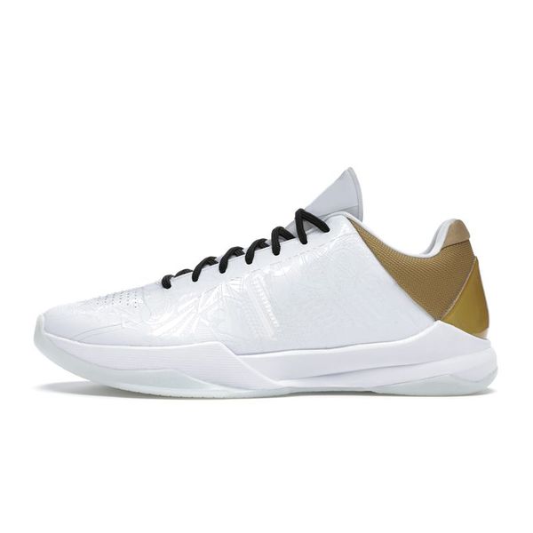designer outdoor roller shoes sneaker platform b22 basketballs shoe nake dunks sneakers men lndoor 7a jordens 11 tn riding walking for women
designer outdoor roller shoes sneaker platform b22 basketballs shoe nake dunks sneakers men lndoor 7a jordens 11 tn riding walking for women