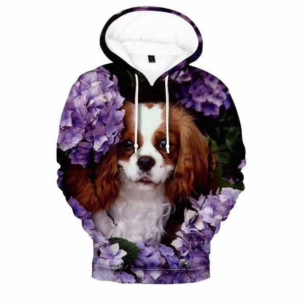 men's hoodies & sweatshirts men's hoodies & sweatshirts 2022 fashion 3d print cute pet dog men women spring autumn animal pullover, Black
men's hoodies & sweatshirts men's hoodies & sweatshirts 2022 fashion 3d print cute pet dog men women spring autumn animal pullover, Black