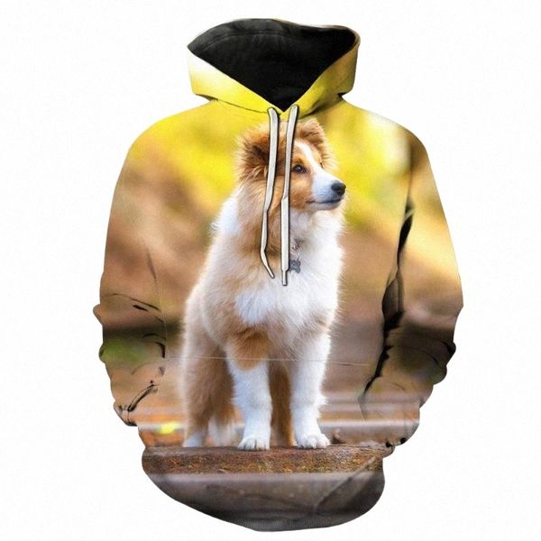 men's hoodies & sweatshirts men's hoodies & sweatshirts 2022 pet dog pullover 3d printed men women hoodie casual sweatshirt tracks, Black
men's hoodies & sweatshirts men's hoodies & sweatshirts 2022 pet dog pullover 3d printed men women hoodie casual sweatshirt tracks, Black