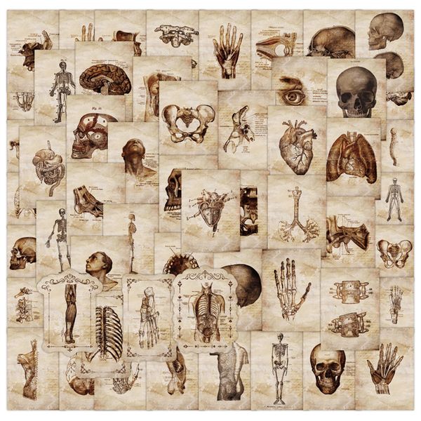 56pcs anatomy and physiology the body structure stickers for water bottle lapskateboard motorcycle waterproof decals
56pcs anatomy and physiology the body structure stickers for water bottle lapskateboard motorcycle waterproof decals