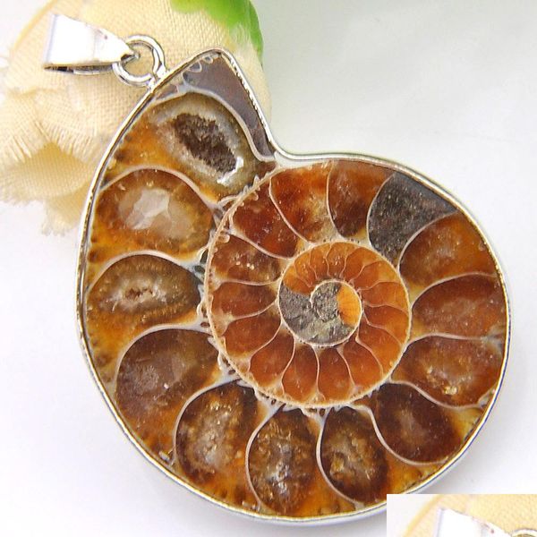 lockets 2pcs /lot christmas 925sterling sier simple design restore ancient ways ammonite fossil pendant for lady gift 31x41mm drop de dh9hp, Silver
lockets 2pcs /lot christmas 925sterling sier simple design restore ancient ways ammonite fossil pendant for lady gift 31x41mm drop de dh9hp, Silver