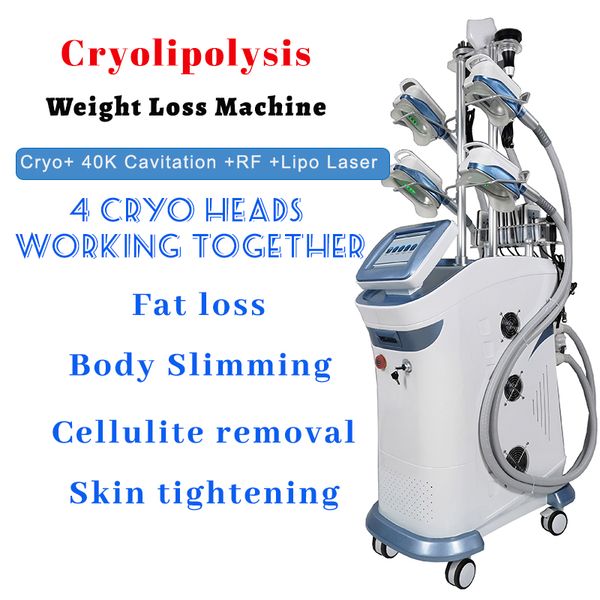 vertical vacuum therapy fat dissolving weight loss cryolipolysis shaping machine abdominal cellulite removal 4 cryo heads working together
vertical vacuum therapy fat dissolving weight loss cryolipolysis shaping machine abdominal cellulite removal 4 cryo heads working together