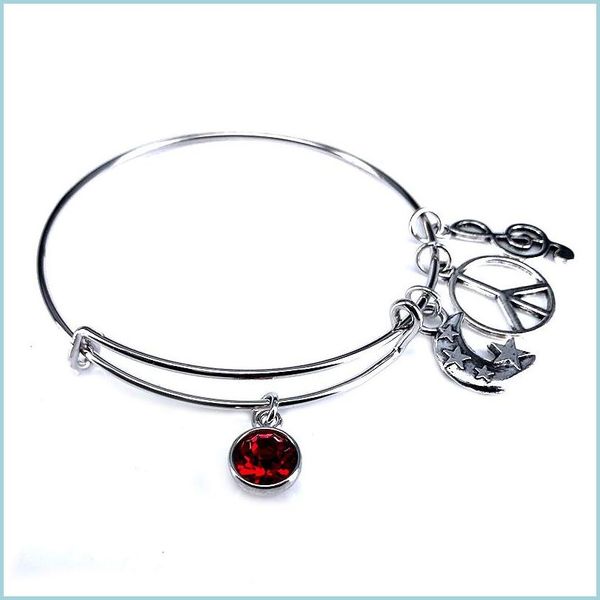 charm bracelets 12 style colorf birthstone bangle adjustable expandable wire bracelets bangles for women fashion jewelry b18103-1 dro dha1x, Golden;silver
charm bracelets 12 style colorf birthstone bangle adjustable expandable wire bracelets bangles for women fashion jewelry b18103-1 dro dha1x, Golden;silver