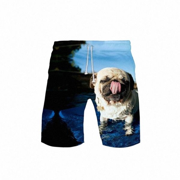 men's shorts men's shorts heartthrob pugs canis lupus familiaris trunks summer quick dry beach men hip hop short pants wear 16g4#, White;black
men's shorts men's shorts heartthrob pugs canis lupus familiaris trunks summer quick dry beach men hip hop short pants wear 16g4#, White;black