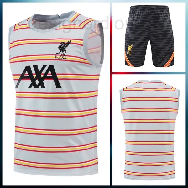 soccer sets/tracksuits designer 22-23 grey stripe tank shirt football training shirt i92e, Black
soccer sets/tracksuits designer 22-23 grey stripe tank shirt football training shirt i92e, Black