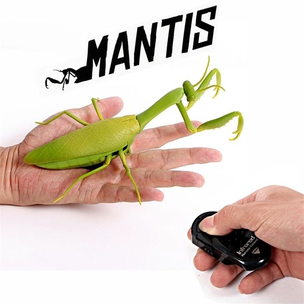 electricrc animals kids electric infrared remote control simulate mantis shape prank toy realistic mini mantis rc prank insect scary trick t
electricrc animals kids electric infrared remote control simulate mantis shape prank toy realistic mini mantis rc prank insect scary trick t