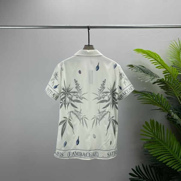 mens tracksuits tees polos round neck embroidered and printed polar style summer wear with street pure cotton mlpq44, Gray
mens tracksuits tees polos round neck embroidered and printed polar style summer wear with street pure cotton mlpq44, Gray