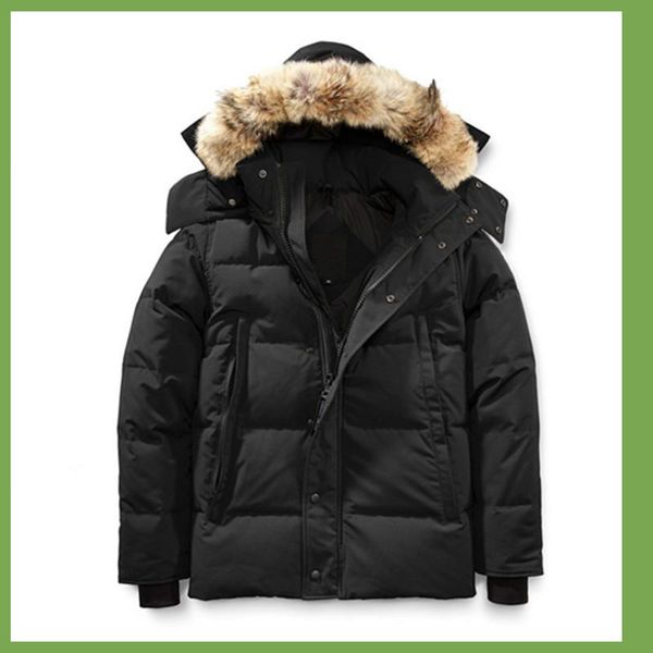 men's down parkas winter fourrure parka homme jassen chaquetas outerwear wolf fur hooded manteau wyndham canada jacket coat hiver doudo, Black
men's down parkas winter fourrure parka homme jassen chaquetas outerwear wolf fur hooded manteau wyndham canada jacket coat hiver doudo, Black