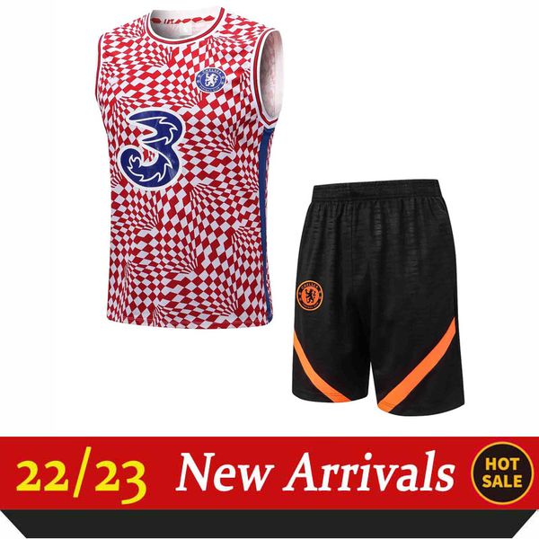 2022-2023 men's tracksuits sleeveless chel sea ar senal training suit short pants shirt red sportswear size xl, Gray
2022-2023 men's tracksuits sleeveless chel sea ar senal training suit short pants shirt red sportswear size xl, Gray