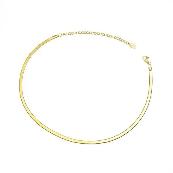 Simple Stainless Steel Snake Bone Necklace For Womans Gift Daily Outfit Fashion Jewelry Girl's Sexy Choker Chain
Simple Stainless Steel Snake Bone Necklace For Womans Gift Daily Outfit Fashion Jewelry Girl's Sexy Choker Chain