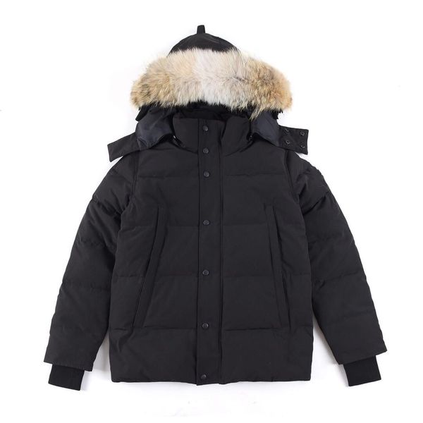 men wyndham hooded down jacket designer parkas winter short coat coyote fur coat stand collar warm outwear, Black
men wyndham hooded down jacket designer parkas winter short coat coyote fur coat stand collar warm outwear, Black