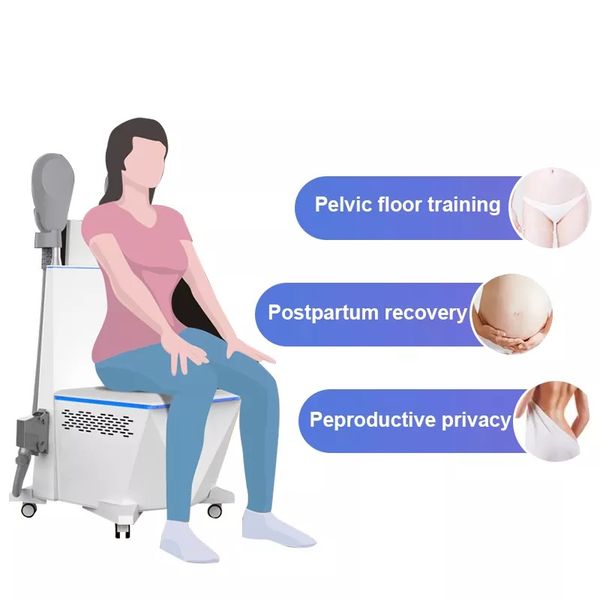 hiemt electromagnetic muscle stimulator fat loss fitness slimming machine postpartum pelvic floor equipment muscles stimulation repair devic
hiemt electromagnetic muscle stimulator fat loss fitness slimming machine postpartum pelvic floor equipment muscles stimulation repair devic